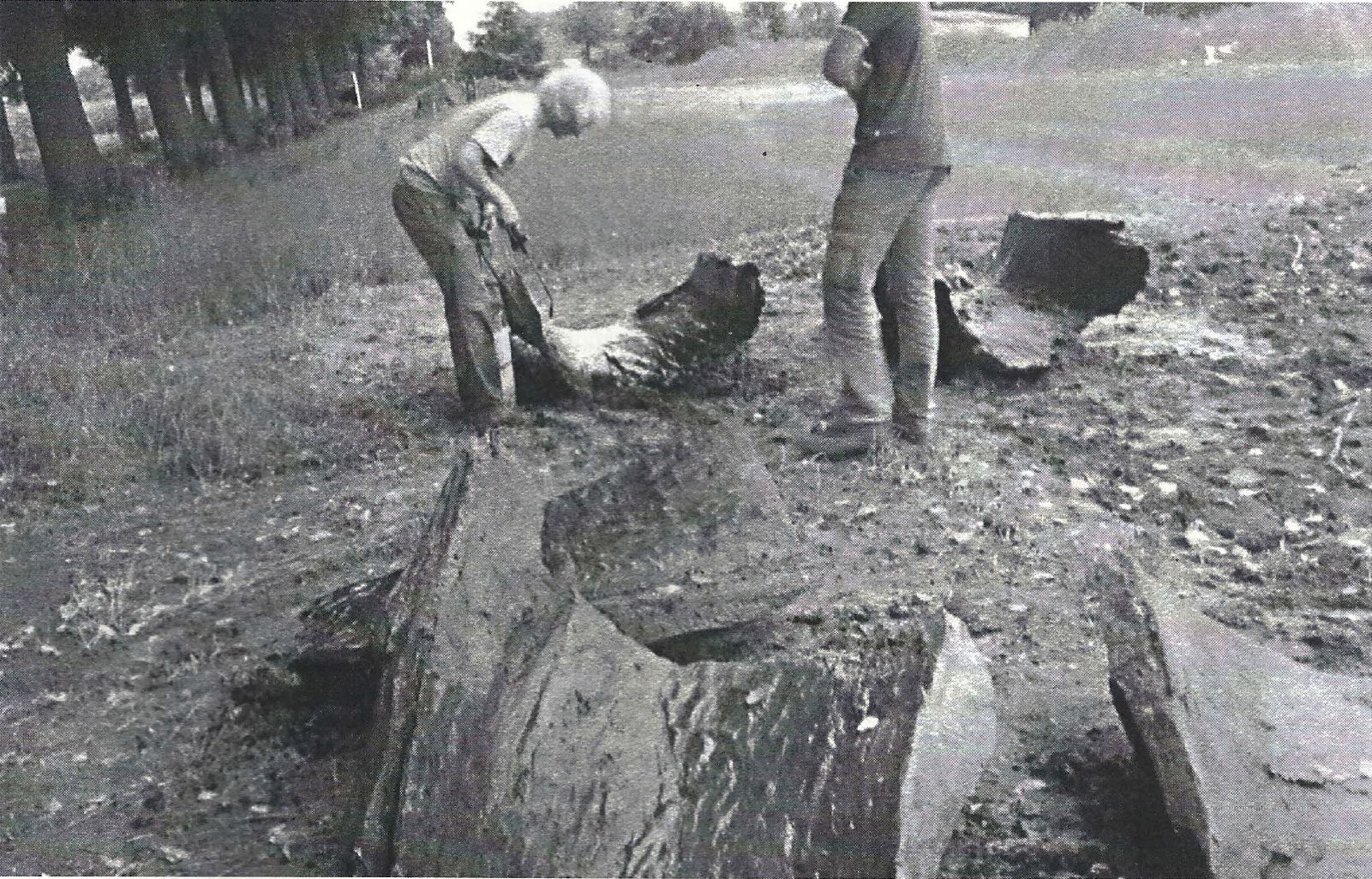 Opgravingen Steenderdiek 2007