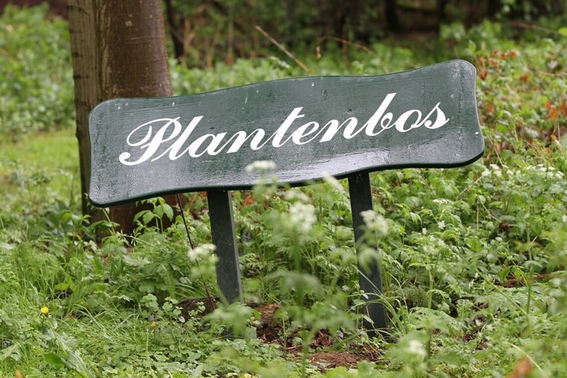 Steenderen - oude bord 'Plantenbos' (foto Liesbeth Spaansen)