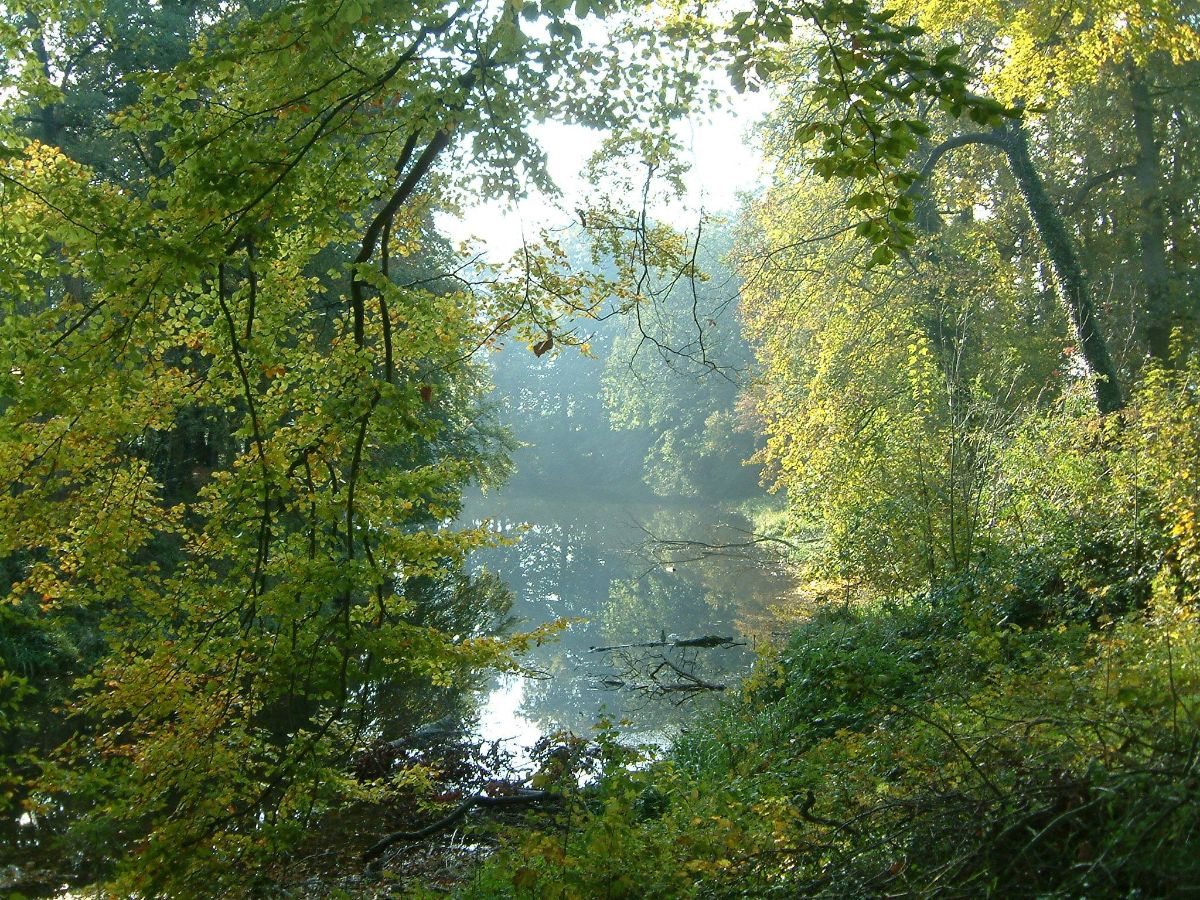 Baak - doorkijkje gracht Huize Baak 2022 (foto Astrid Schutte)