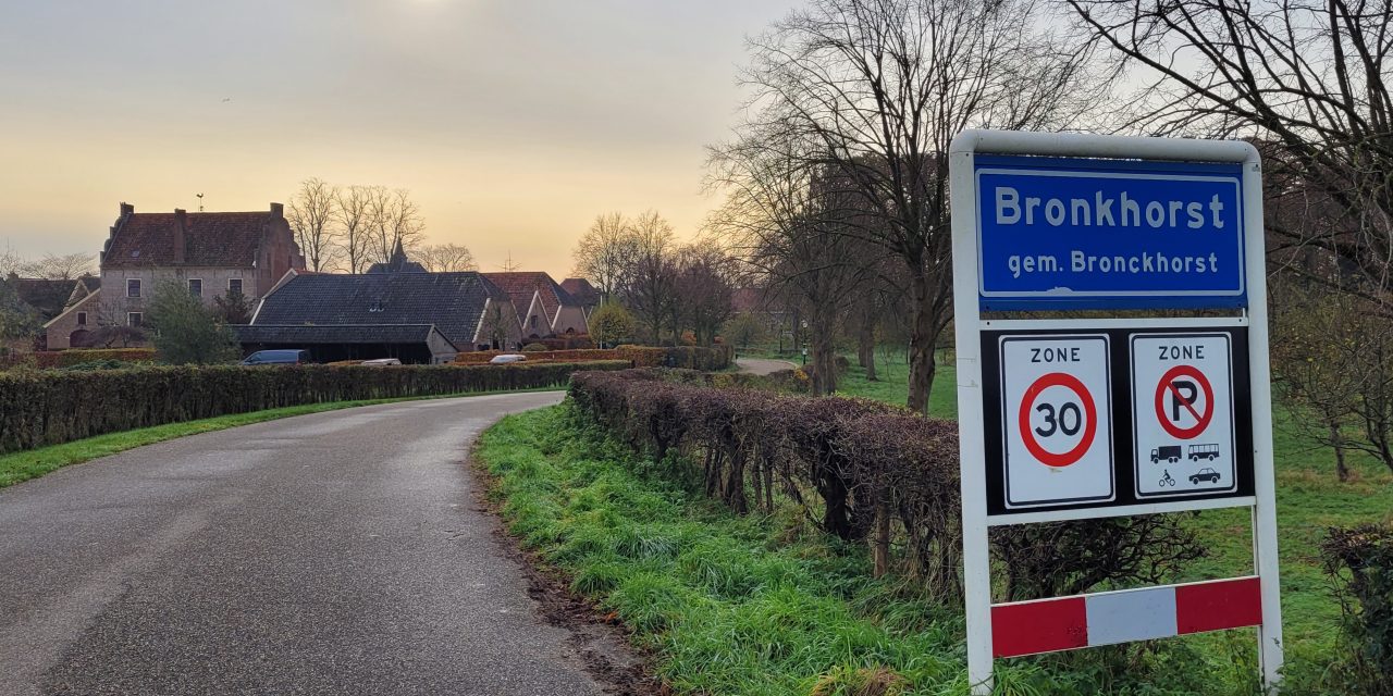 Bronkhorst vanaf de winterdijk 2023 (foto Jelmer Nengerman)