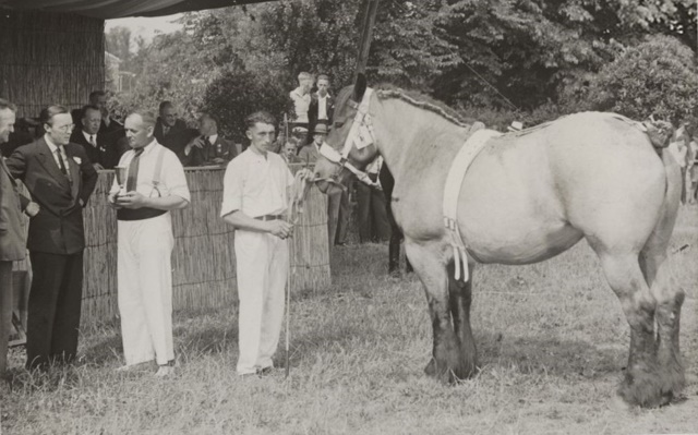 paardenkeuring-met-AJG-Herfkens-en-prins-Bernard-1947.jpg